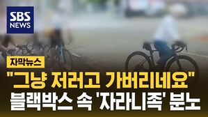 [자막뉴스] "그냥 저러고 가버리네요"&hellip;블랙박스 속 '자라니족' 분노