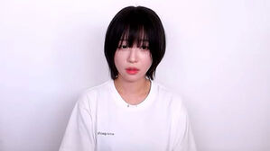 쯔양&middot;변호사, '협박 의혹' 관련 무고 등 혐의 고발당해