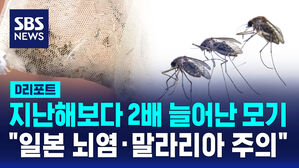 [D리포트] 지난해보다 2배 늘어난 모기&hellip;"일본 뇌염&middot;말라리아 주의해야"