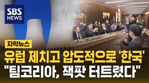 [자막뉴스] 체코 원전 사업