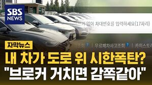 [자막뉴스] 침수차 피하기
