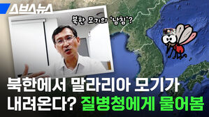 북한에서 말라리아 모기가 내려온다? 질병청에게 물어봄 북한 모기의 '남침'? 스브스뉴스