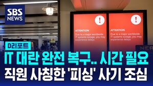 [AI D리포트] 'IT 대란' 완전 복구에 길게는 몇 주&hellip;피싱 사기 경고