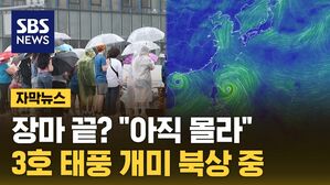 [자막뉴스] 장마 밀어올린 '태풍 개미'&hellip;중부지방에 또 쏟아진다