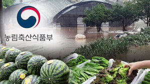 햇과일 출하 가격 안정 예상&hellip;채소류 수급 총력