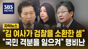 [자막뉴스] "이 정도면 김 여사가 검찰을 소환"&hellip;"국민 격분 일으켜" '특혜 조사' 맹비난
