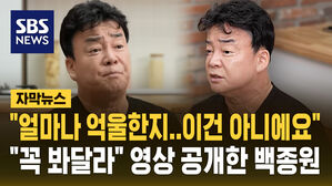 [자막뉴스] "얼마나 억울한지, 이건 아니에요"&hellip;유튜브 영상 통해 호소한 백종원