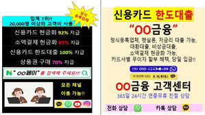 인터넷 상거래 위장한 '카드깡' 성행&hellip;"제도권 회사 여부 꼭 확인해야"
