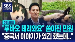 [AI D리포트] "중국서 이야기가 있긴 했는데"&hellip;'푸바오 임대' 서울시 답변은?