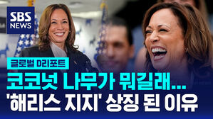 [글로벌D리포트] 코코넛 나무가 뭐길래&hellip;해리스 지지의 상징이 된 이유