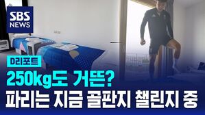골판지침대