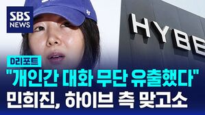 민희진하이브