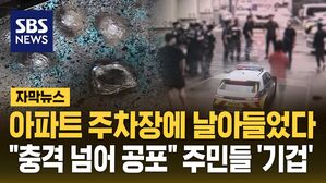 [자막뉴스] 쇠구슬 테러