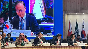 외교부 다자외교조정관, G20 개발장관회의 참석