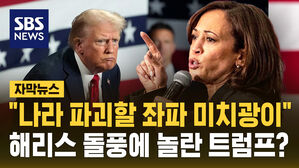 [자막뉴스] 트럼프, 해리스 맹비난&hellip;"나라 파괴할 극단적 좌파 미치광이"