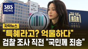 [자막뉴스] "김 여사 '특혜' 논란 억울하다"&hellip;"국민께 죄송" 입장 밝혀