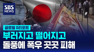 [글로벌D리포트] 부러지고 떨어지고&hellip;돌풍에 폭우 곳곳 피해