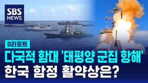[D리포트] 다국적 함대 '태평양 군집 항해'&hellip;한국 함정 활약상은?
