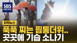 [자막뉴스] 한쪽은 '푹푹', 한쪽은 '기습' 소나기&hellip;오락가락 날씨, 왜?