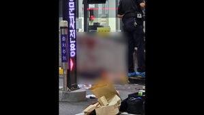 장식용 일본도가 흉기로 돌변&hellip;도검 소지 허가제 이대로 괜찮나