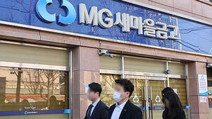 금융당국 새마을금고 집단대출 주시&hellip;2금융권 풍선효과 점검회의