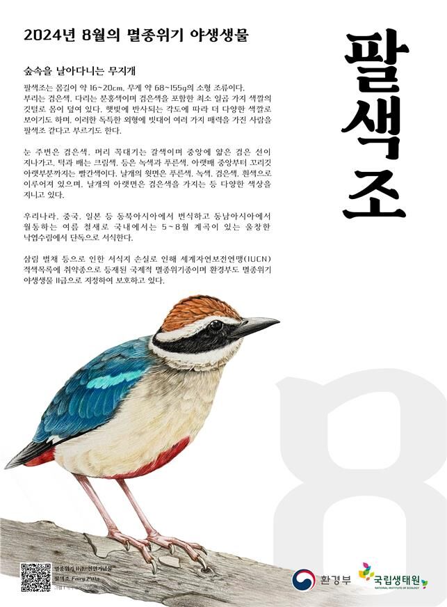 팔색조 (사진=연합뉴스)