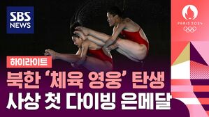 다이빙