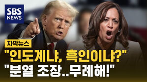 [자막뉴스] 트럼프 "인도계냐, 흑인이냐?" 해리스 "분열 조장&hellip;무례해!"
