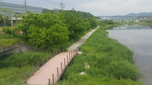 용인 땅 387만㎡ 수변구역으로 잘못 지정&hellip;"이달 중 해제"