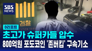 [AI D리포트] '슈퍼카들 압수'&hellip;800억 원대 포도코인 사기 '존버킴' 구속기소