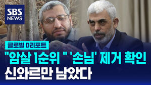 [글로벌D리포트] "암살 1순위 " '손님' 제거 확인&hellip;신와르만 남았다