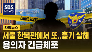 [자막뉴스] 새벽 서울 도심서 흉기로 60대 여성 살해&hellip;용의자 긴급체포