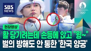 [영상] 화살 당기려는데 "윙" "윙" 벌의 공격에도 흔들리지 않는 편안함&hellip;이것이 한국 양궁 클래스