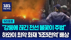 [AI D리포트] 하와이 마우이 산불 피해자들 '5조 5천억 원 배상' 합의