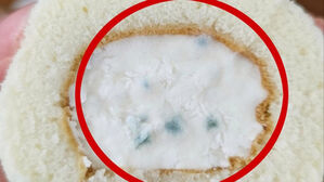 곰팡이 빵 먹고 배탈났는데&hellip;인터넷에 올리라는 업체