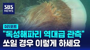 해파리