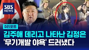 AI D리포트 북한 김정은