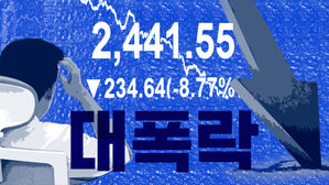 스프 주식폭락