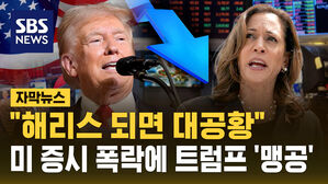 [자막뉴스] 미 증시 폭락 해리스에 불리? 트럼프 "카멀라 발 대공황 온다"