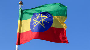 에티오피아서 '치명률 88%' 마르부르크병 3명 사망