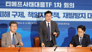 민주, 티메프TF 설치&hellip;현안 청문회 추진&middot;국정조사도 검토