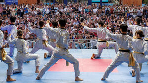 올림픽 정식종목 채택 30주년&hellip;세계 태권도인, 파리에 모여 축하