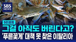 푸른꽃게