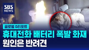 [글로벌D리포트] 휴대전화 배터리 폭발 화재&hellip;원인은 반려견