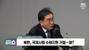 [정치쇼] 태영호 "걸어서 귀순? 북한군 졸았을 것&hellip;수해복구로 대단히 피로"