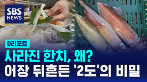 [D리포트] 사라진 한치, 왜?&hellip;어장 뒤흔든 '2도'의 비밀