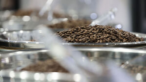 트럼프, 커피·열대과일 등 일부 농산물 상호관세 면제 지시