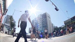 폭염에 온열질환자 2,141명&hellip;가축 56만 2천 마리 폐사