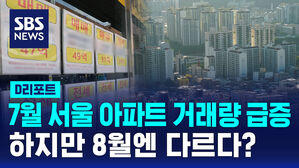 [D리포트] 7월 서울 아파트 거래량 급증&hellip;하지만 8월엔 다르다?