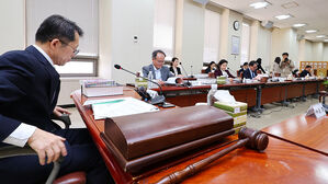 조직적 전세사기&middot;보이스피싱 최대 무기징역&hellip;양형기준 강화
